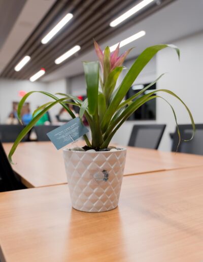 York County Chamber of Commerce November 2025 Business After Hours